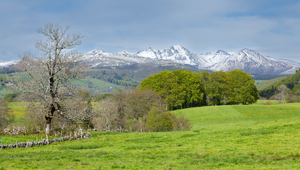 Immobilier Mont-de-Marsan